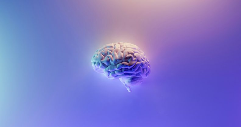 Iridescent brain render on a blue and purple background